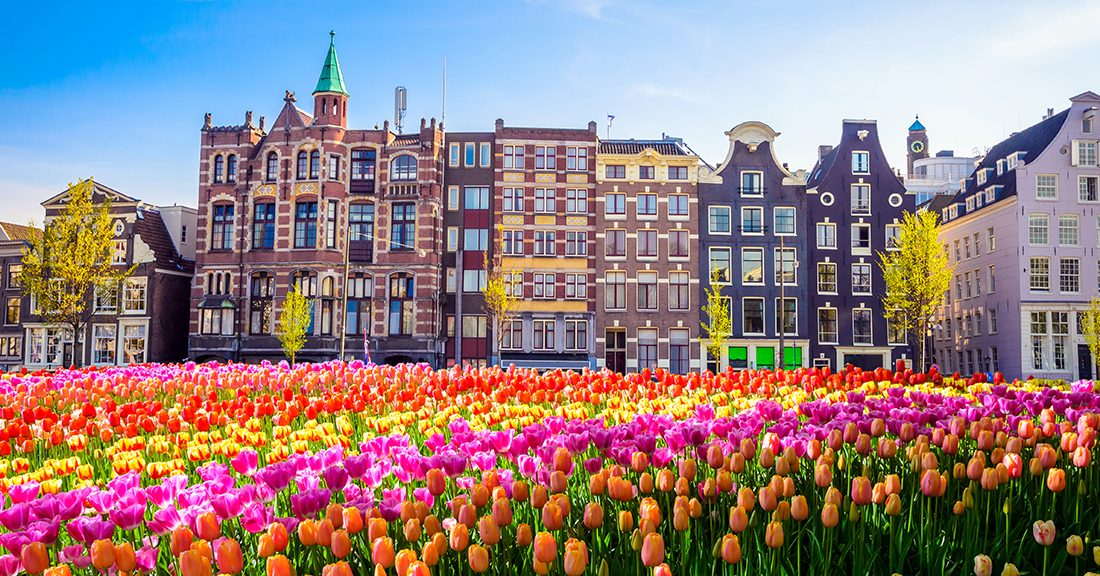 PÅ OPPDAGELSESFERD I NEDERLAND: PÅ REISE TIL DE VAKRESTE TULIPANENE I VERDEN