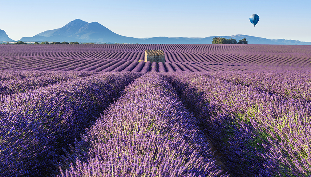 SKIND DERE OM BORD: REISEN GAR TIL PROVENCE!